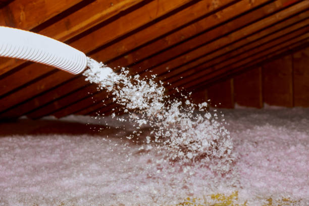 Best Types of Insulation in Fern Prairie, WA