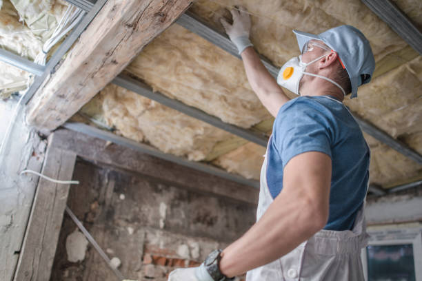 Best Insulation Maintenance and Repair in Fern Prairie, WA